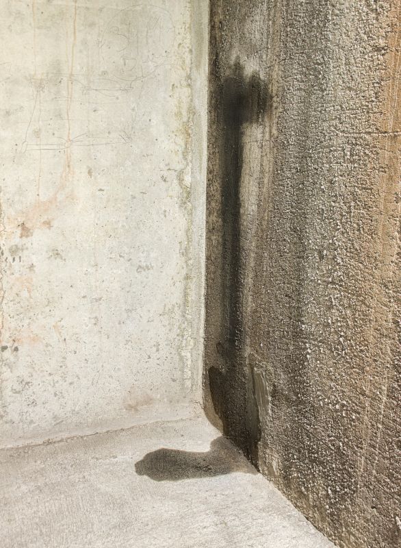 Wet Basement Repair in Montgomery, AL